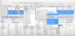 X-DBGridDesign FilterList